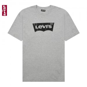 �����̽� ������� �׷��� �ΰ� ���� Ƽ����(2CC-GRY) L5294