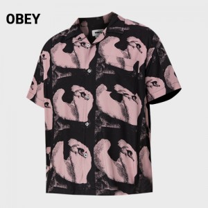 ������ ������� ����Ƽ ��� ����(10441) A8894