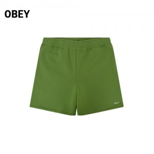 ������ ������� �׸� ���� ��� ����(20116) A8246 