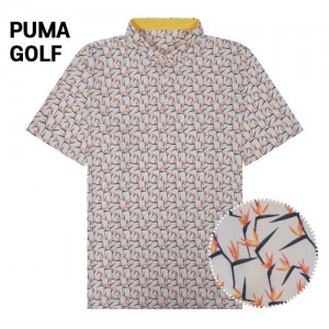 Ǫ�� ���� ������� ȭ��Ʈ �Ķ���̽� ī��Ƽ(824-02) A8148 