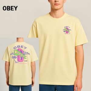 ������ ������� ���ο� �帲 Ƽ(64137) A9063