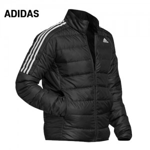 �Ƶ�ٽ� ������� ���� ������ �ٿ�����(4589) A8024