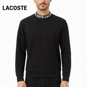 ڽ    Ʈ(542-031) A9581