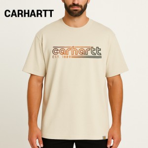 ĮƮ  ũ Ƽ Ƽ (538-A16) A8872